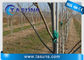 식물 나무 지원 폴란드 지팡이를 위한 UV 억제제 Pultruded 섬유유리 막대